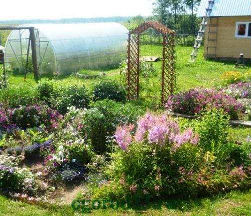 Как расположить растения на арке для цветов из арматуры. Делаем арку своими руками