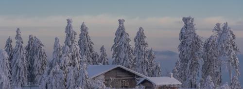 Теплый ли дом из бруса 150х150. Можно ли жить в доме из бруса зимой?