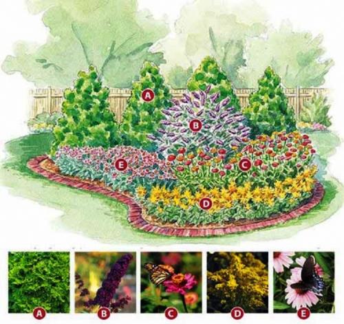 Готовые схемы и проекты клумб. Виды клумб и выбор места