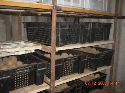 Как в уже построенном доме вырыть погреб правильно. Изготовление подземного погреба пошагово