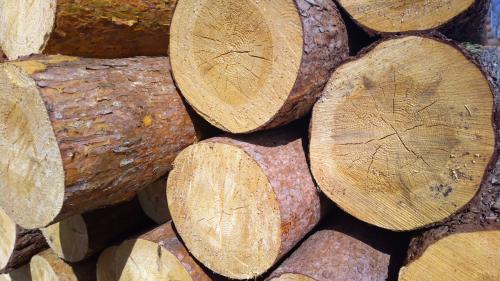 Как сделать кровать своими руками чертежи. Выбор материала