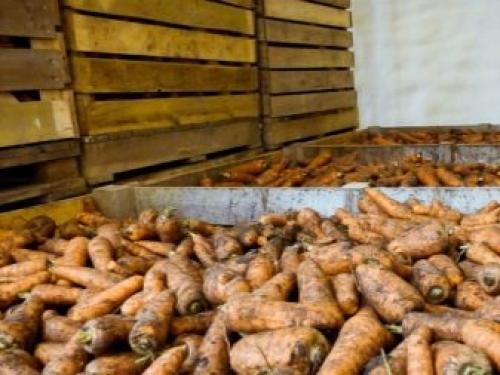 Подпол в деревянном доме своими руками. Подвал: тонкости проектирования и создания подвального помещения 10 Подпол в деревянном доме своими руками. Подвал: тонкости проектирования и создания подвального помещения 10