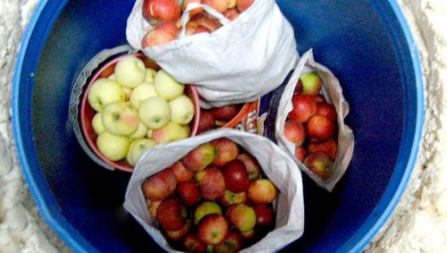 Как правильно сделать подпол в доме. Содержание: 03