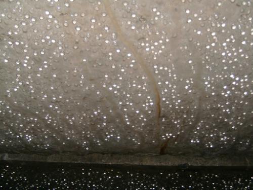 Отделка погреба в частном доме. Как защитить и чем обшить погреб внутри: материалы-кандидаты и работа