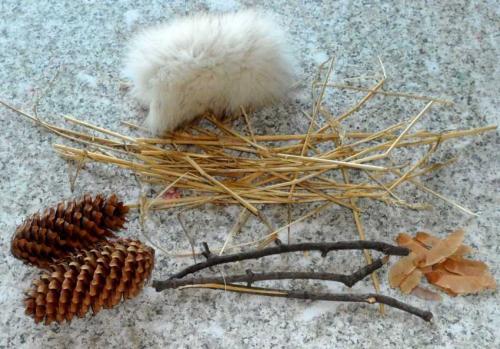 Поделка сова своими руками. Поделка сова – лучшие идеи и варианты их реализации своими руками (125 фото и видео)