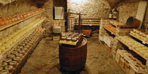 Чем засыпать земляной пол в подвале. Потенциальный пол в погребе: какой лучше, надежнее, долговечнее?