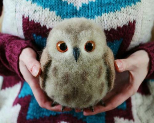 Как сделать сову из подручных материалов. Игрушка сова своими руками: лучшие идеи, выкройки, мастер-классы пошива поделки из фетра, ткани