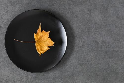 Поделки из листьев. Как высушить листья для поделок: советы и лайфхаки