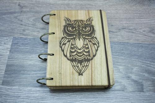 Как сделать сову из подручных материалов. Поделка сова: как и из чего изготовить сову своими руками сову и советы по применению поделок (75 фото)