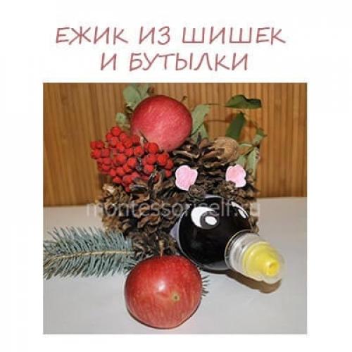 Как приклеить шишки к пластиковой бутылке. Ежик из шишек и бутылки