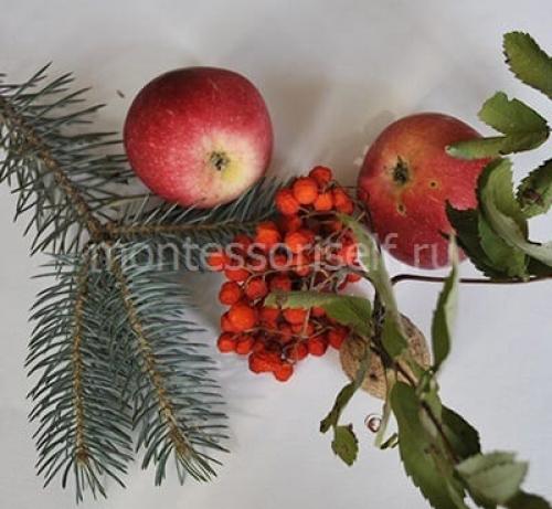 Как приклеить шишки к пластиковой бутылке. Ежик из шишек и бутылки