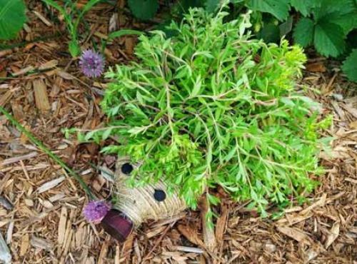 Садовый ежик из пластиковой бутылки. Декоративный ежик из пластиковой бутылки