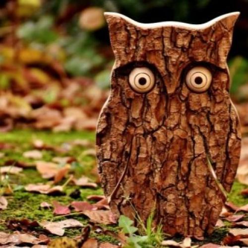 Как сделать сову из природного материала своими руками. Поделка сова: как и из чего изготовить сову своими руками сову и советы по применению поделок (75 фото) 21 Как сделать сову из природного материала своими руками. Поделка сова: как и из чего изготовить сову своими руками сову и советы по применению поделок (75 фото) 21