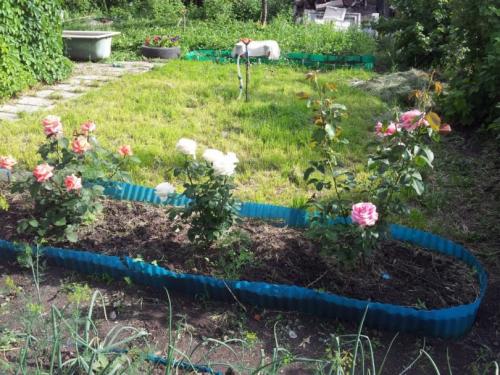 Поделки на клумбу из пластиковых бутылок. Клумба из бутылок — мастер-класс изготовления оригинальных клумб. 120 фото оформления клумбы при помощи пластика