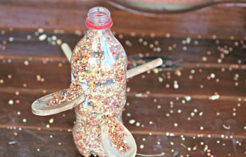 Кормушка для птиц из пластиковой бутылки. Кормушка из пластиковой бутылки: лучшие идеи и варианты по созданию и размещению (75 фото)