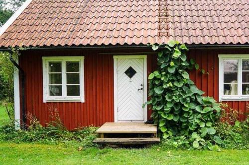 Как защитить опилки от влаги и гниения в условиях высокой влажности бани. Народные средства для пропитки древесины