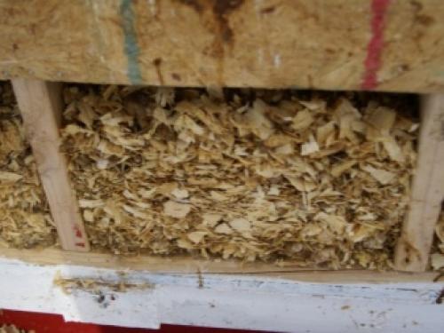 Как опилки влияют на микроклимат в бане. Плюсы и минусы