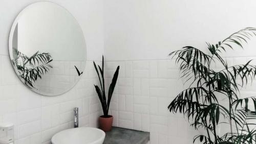 Белая плитка в ванной минусы. Белая плитка в ванной: плюсы и минусы классической отделки
