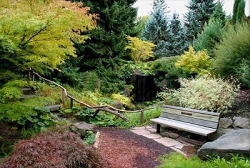 Растения для японского сада