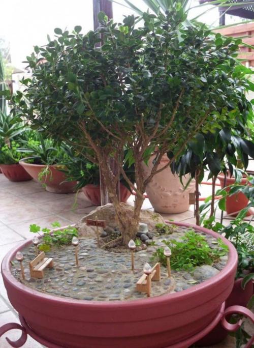 Японский сад в квартире. Что такое японский сад и как его создать в квартире