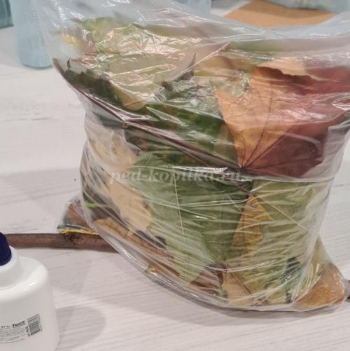 Поделка Сова из листьев и пластиковой бутылки. Поделка совы из втулки от туалетной бумаги. 25 Поделка Сова из листьев и пластиковой бутылки. Поделка совы из втулки от туалетной бумаги. 25