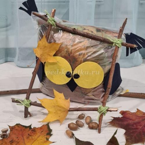 Поделка Сова из листьев и пластиковой бутылки. Поделка совы из втулки от туалетной бумаги. 28 Поделка Сова из листьев и пластиковой бутылки. Поделка совы из втулки от туалетной бумаги. 28