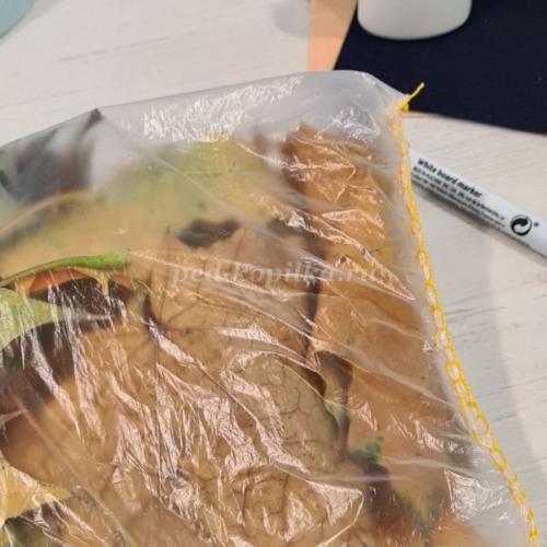 Поделка Сова из листьев и пластиковой бутылки. Поделка совы из втулки от туалетной бумаги. 23 Поделка Сова из листьев и пластиковой бутылки. Поделка совы из втулки от туалетной бумаги. 23