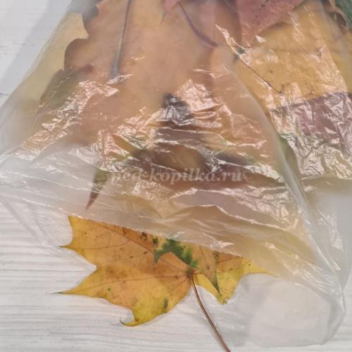 Поделка Сова из листьев и пластиковой бутылки. Поделка совы из втулки от туалетной бумаги. 22 Поделка Сова из листьев и пластиковой бутылки. Поделка совы из втулки от туалетной бумаги. 22