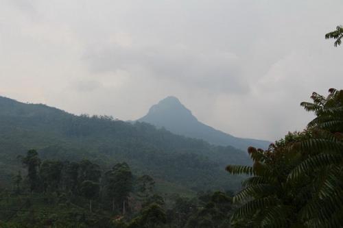 Сколько ступенек до 10 этажа. Был ли скрытый смысл? 08