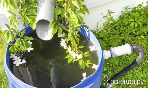 Какие растения и методы полива лучше использовать для экономии воды. Как сэкономить воду при поливах?