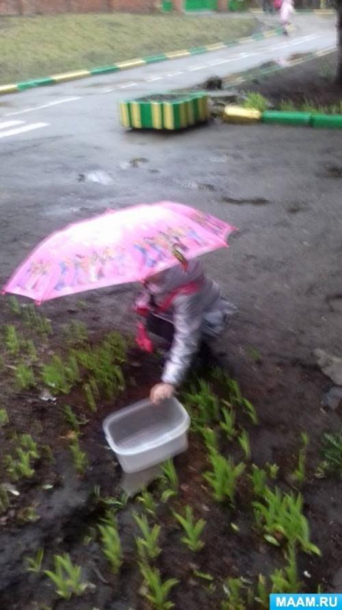 Как объяснить важность экономии воды детям. Беседа с детьми старшей группы «Как человек может экономить воду?» (11 фото)