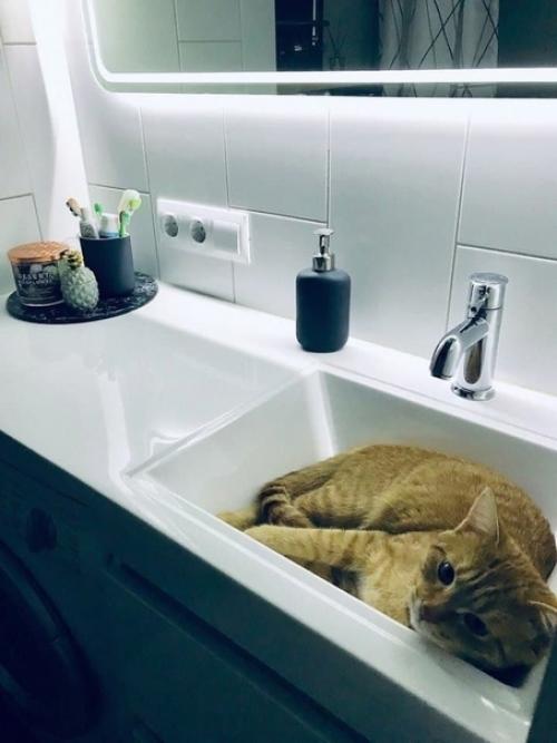 Компактный интерьер совмещенного санузла, где нет ничего лишнего. 05