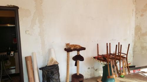 Из одной большой комнаты 18 кв.