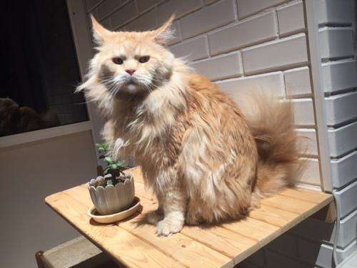 Первый раз ремонтом занимался. 09