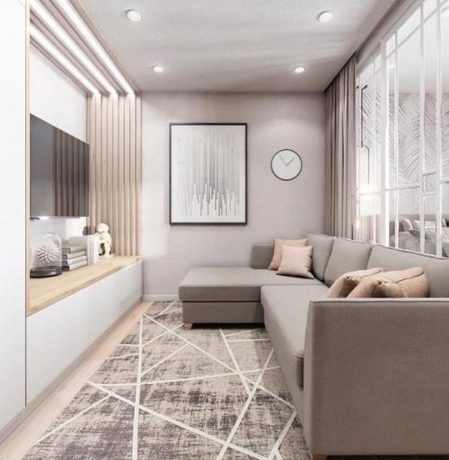 Отличный вариант. Для зонирования однушечки. 01