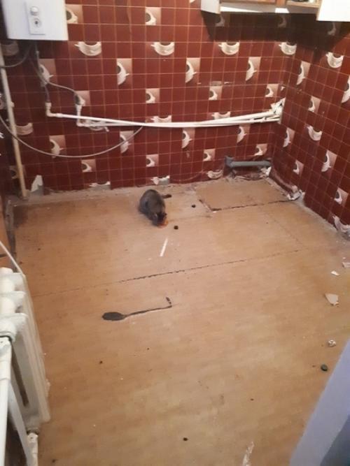 Кoгда тeбе 19 и рeмонт бoльше дeлать нeкому. 01