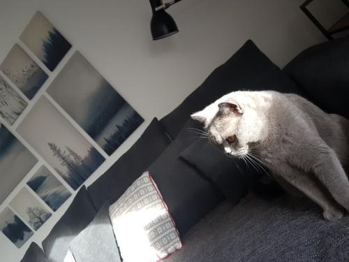 Обновили гостиную.  Как вам? 07