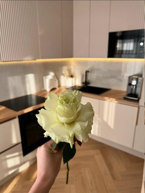 Кухня мечты: финальный штрих ремонта. 04