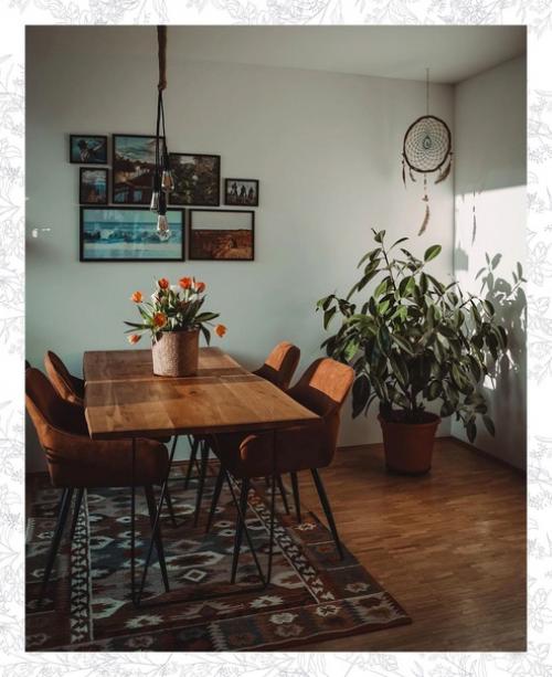 Стрелиция восхитительна!  А вот над кроватью цветам явно темно. 03