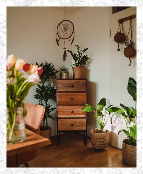 Стрелиция восхитительна!  А вот над кроватью цветам явно темно. 01