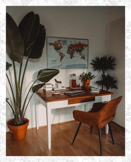 Стрелиция восхитительна!  А вот над кроватью цветам явно темно. 04