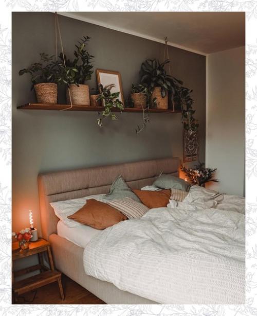 Стрелиция восхитительна!  А вот над кроватью цветам явно темно.