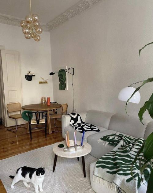 Главный акцент в любом интерьере - хвостатый любимец. 01