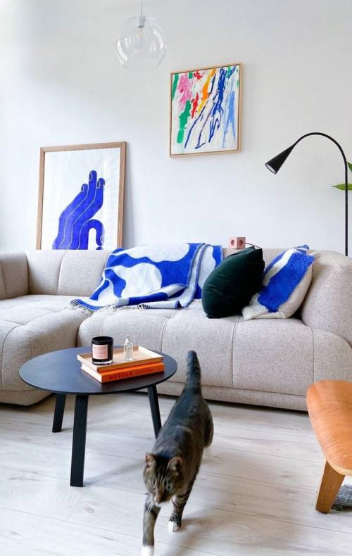 Главный акцент в любом интерьере - хвостатый любимец. 05