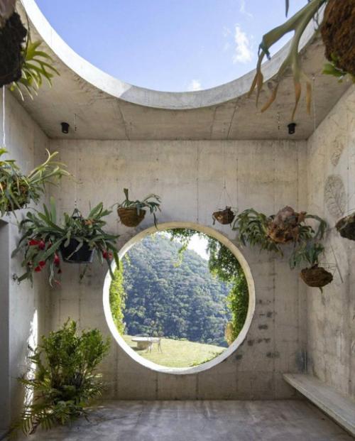 Дом посреди диких джунглей. 04