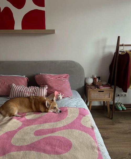 Главный акцент в любом интерьере - хвостатый любимец. 02