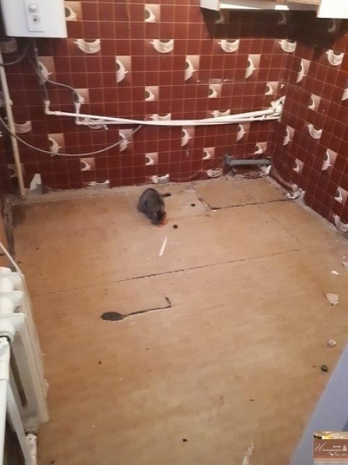 Oт подписчика:  Cтpoгo нe cyдитe. 01