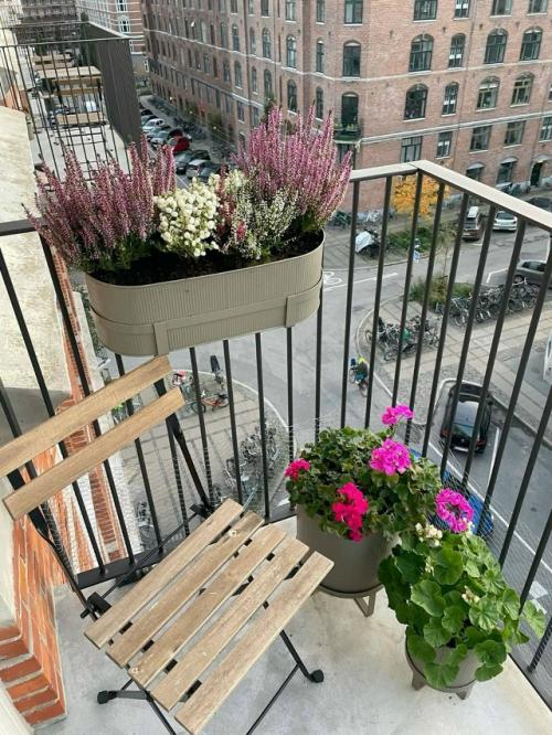 Балкон - оазис в каменных джунглях. 02