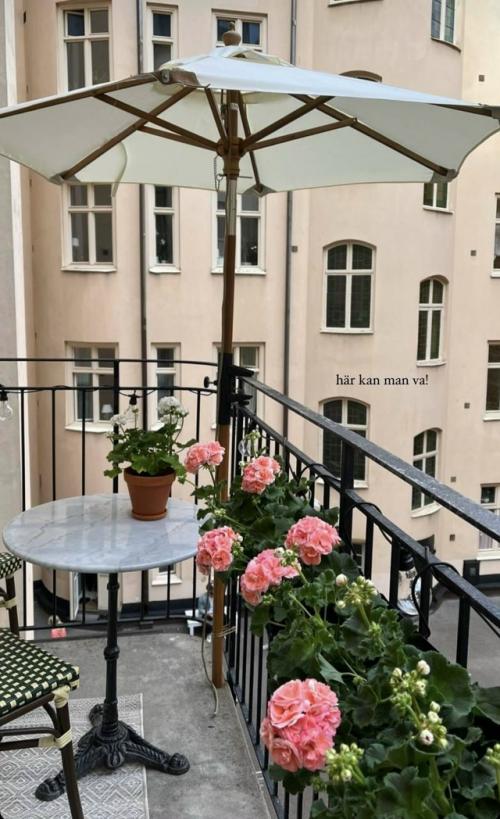 Балкон - оазис в каменных джунглях. 06