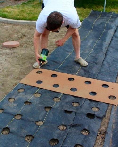 Готовимся к следующему дачному сезону. 06